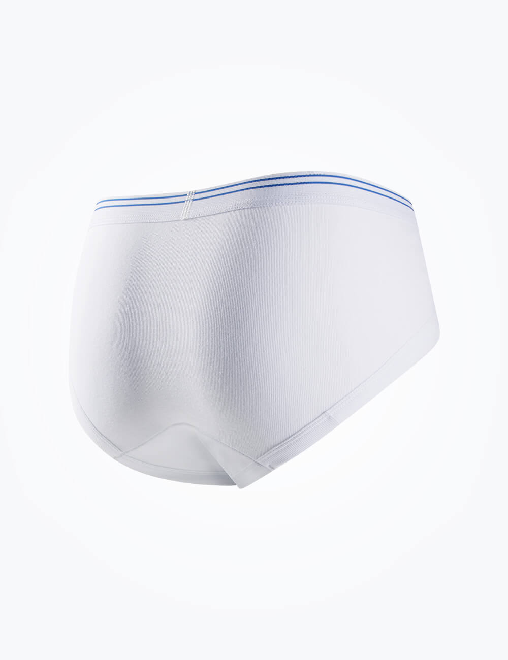 M65 absorbent zone detail